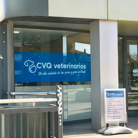 Veterinario Oviedo Clínica