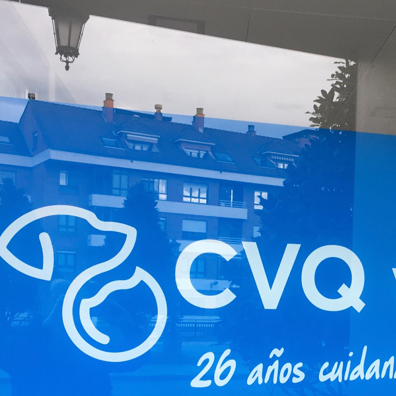 La Losa de Oviedo Rótulo